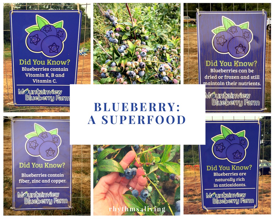 blueberry, superfood, wellness