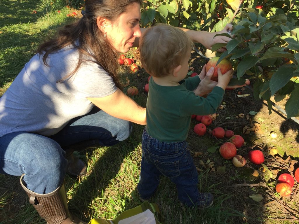 apple picking